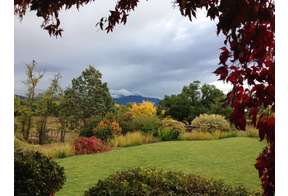First Saturday | Couse-Sharp Historic Site Open House | Heritage Garden Plant & Seed Giveaway