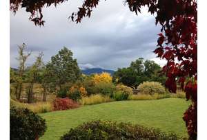 First Saturday Open House | Artist Demo | Heritage Garden Giveaway